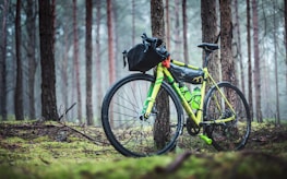 The bike parked in a green park setting, ready to engage with the community.