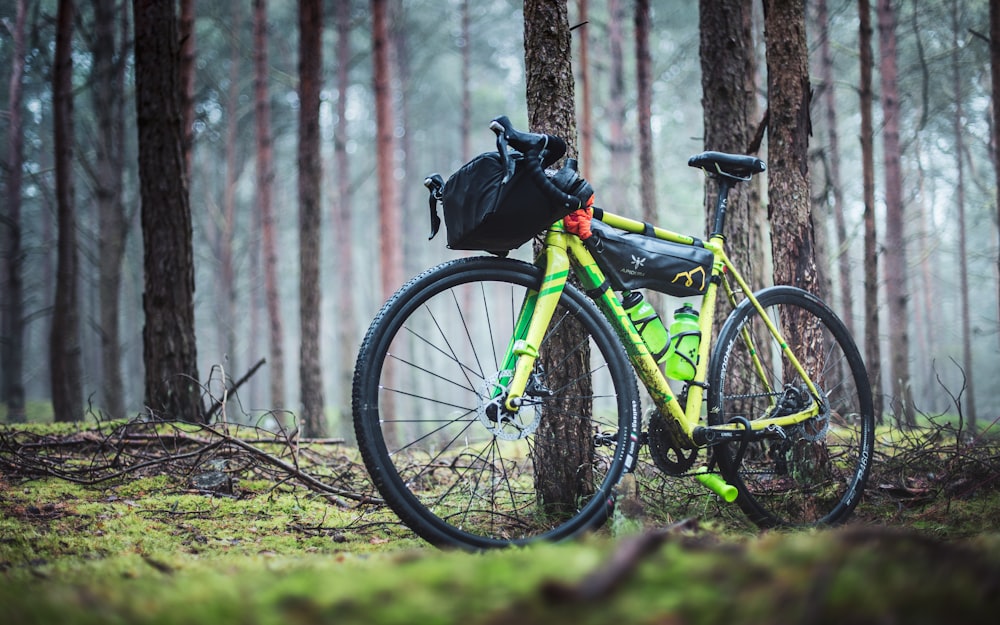 mountain bike verde e nera