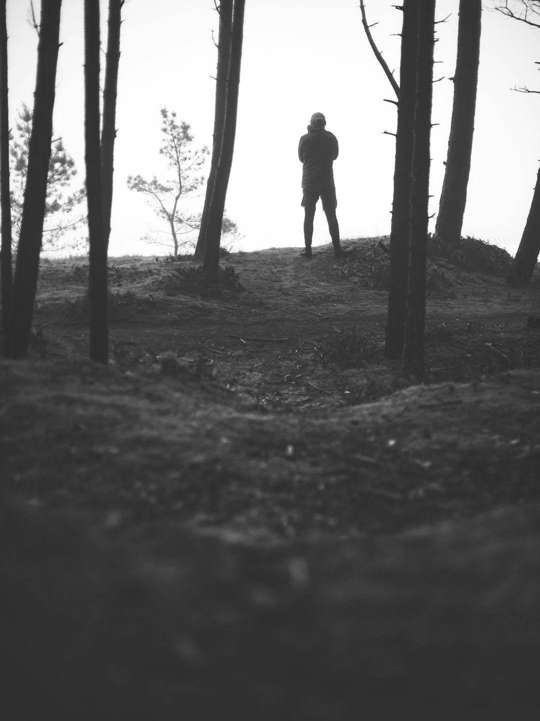 silhouette of person standing on forest during daytime
