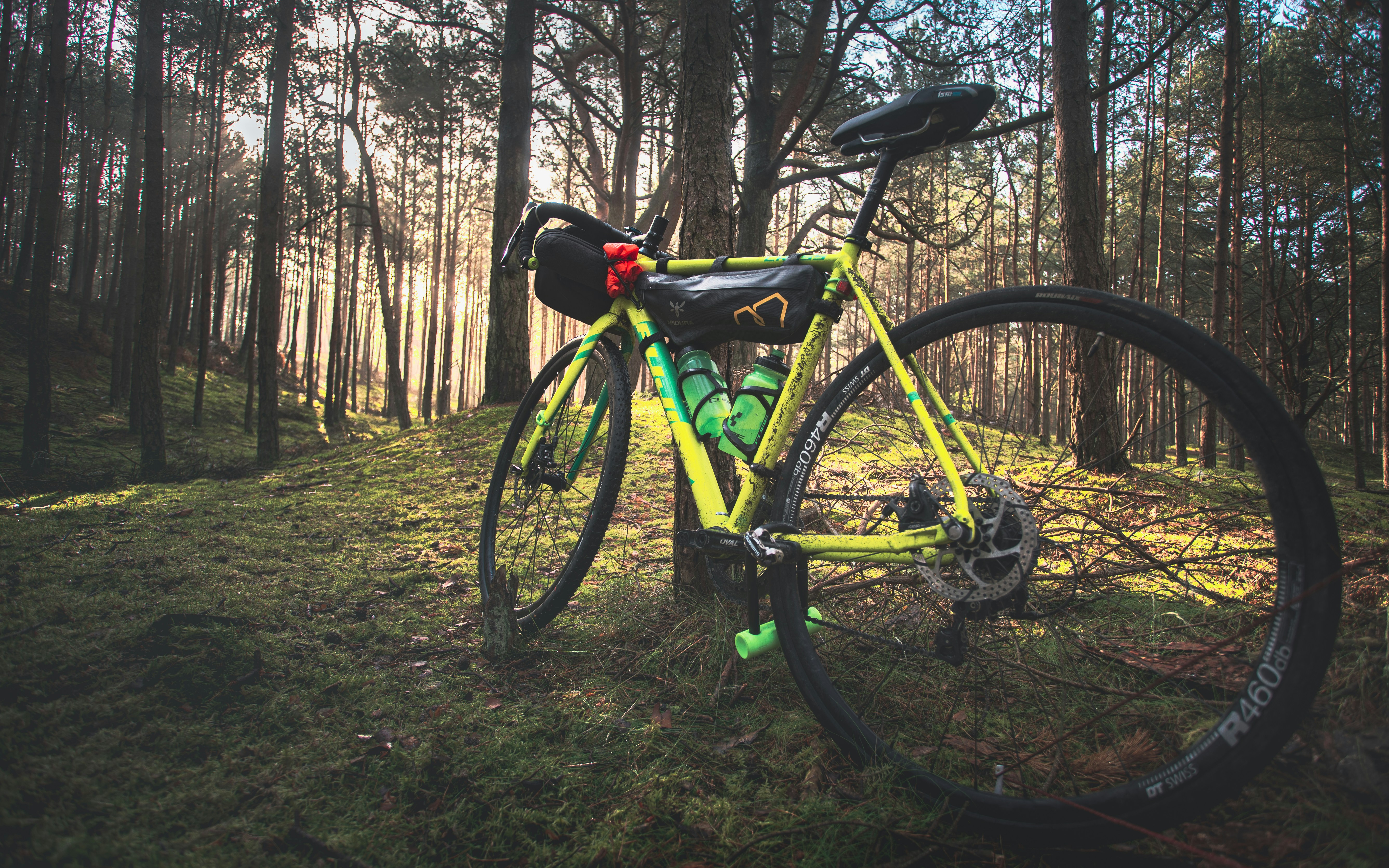 green and black mountain bike on forest during daytime