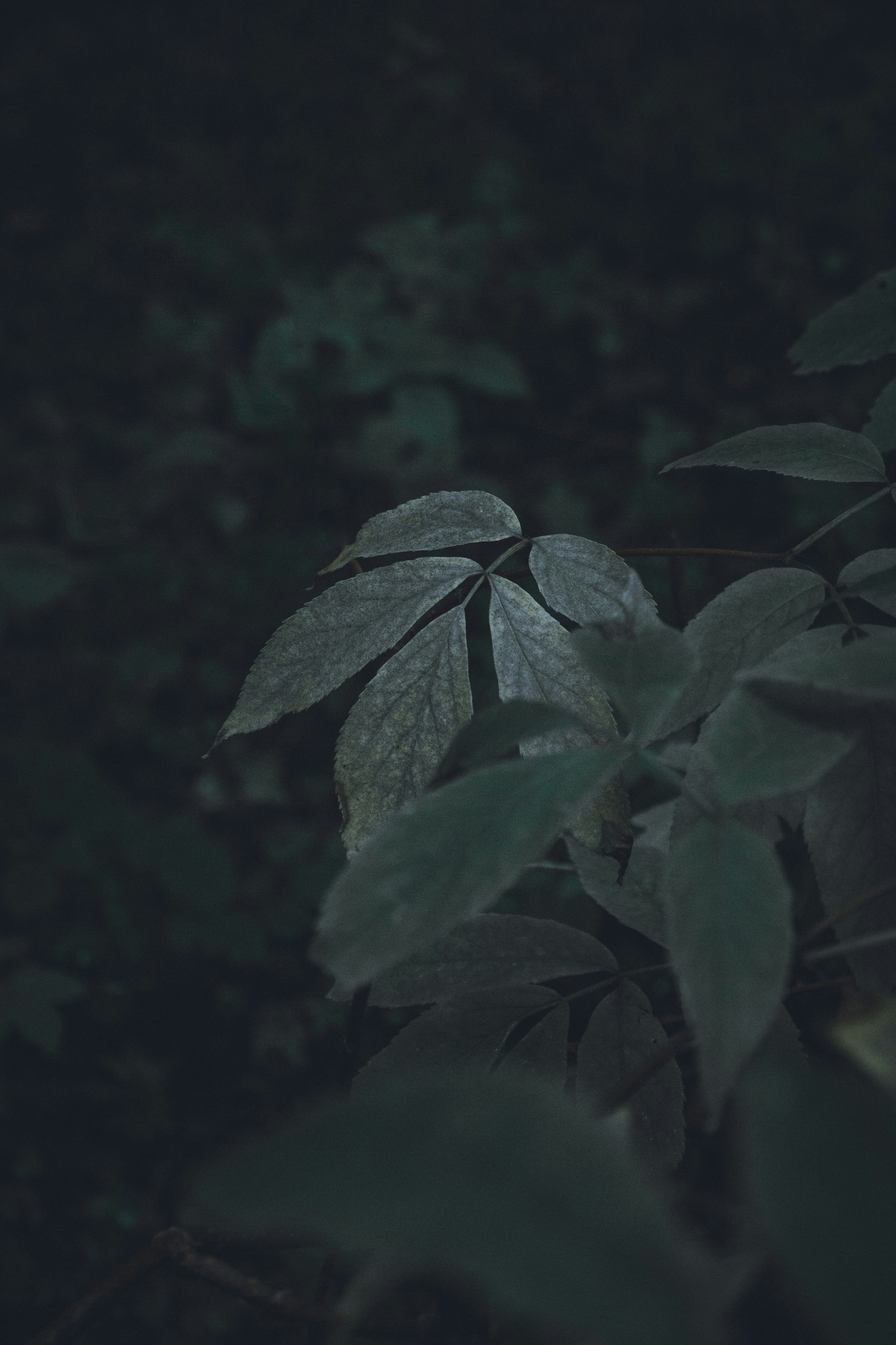 Photo by joelsphotography