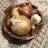 A rustic ceramic bowl holds a variety of onions and a bulb of garlic. The onions include both yellow and red varieties. These vegetables rest on a patterned tablecloth with floral and geometric designs in shades of brown and white.