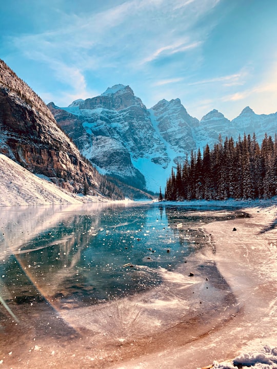 green pine trees near lake and mountain range in Moraine Lake Canada