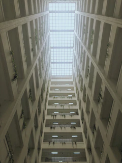 Interior view of a well-ventilated institutional building with natural light and greenery.