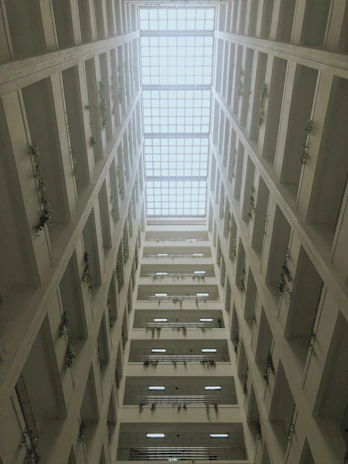 Interior view of a well-ventilated institutional building with natural light and greenery.