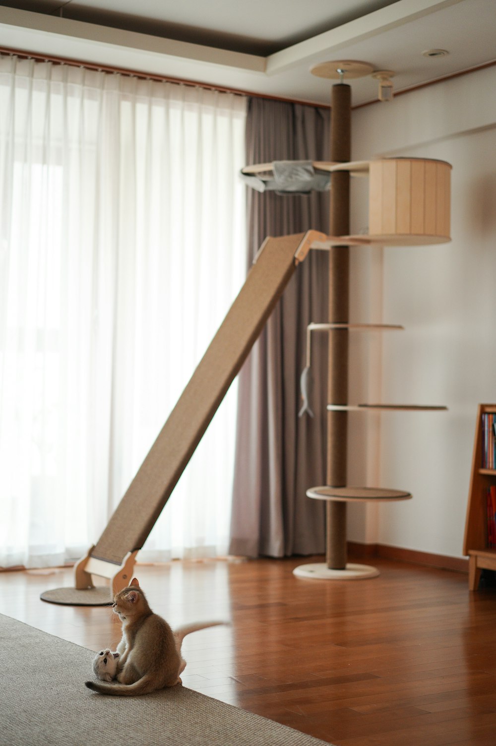 brown wooden spiral staircase on brown wooden floor