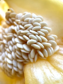 Close-up of a cluster of white, smooth seeds arranged in a tight, spiral pattern against a yellow backdrop, resembling the inside of a fruit or vegetable. The textures are prominent, with focus on the glossy surface of the seeds.