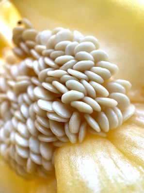 Close-up of natural sesame seeds shimmering under soft light on a clean white surface