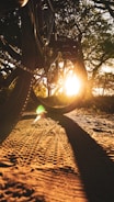 A close-up of a bicycle wheel on a dirt path.