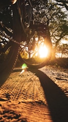 Close-up of a bicycle wheel on a dirt path during a sunny day.