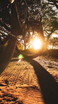 Close-up of bicycle wheels on a dirt path with wildflowers blooming nearby.