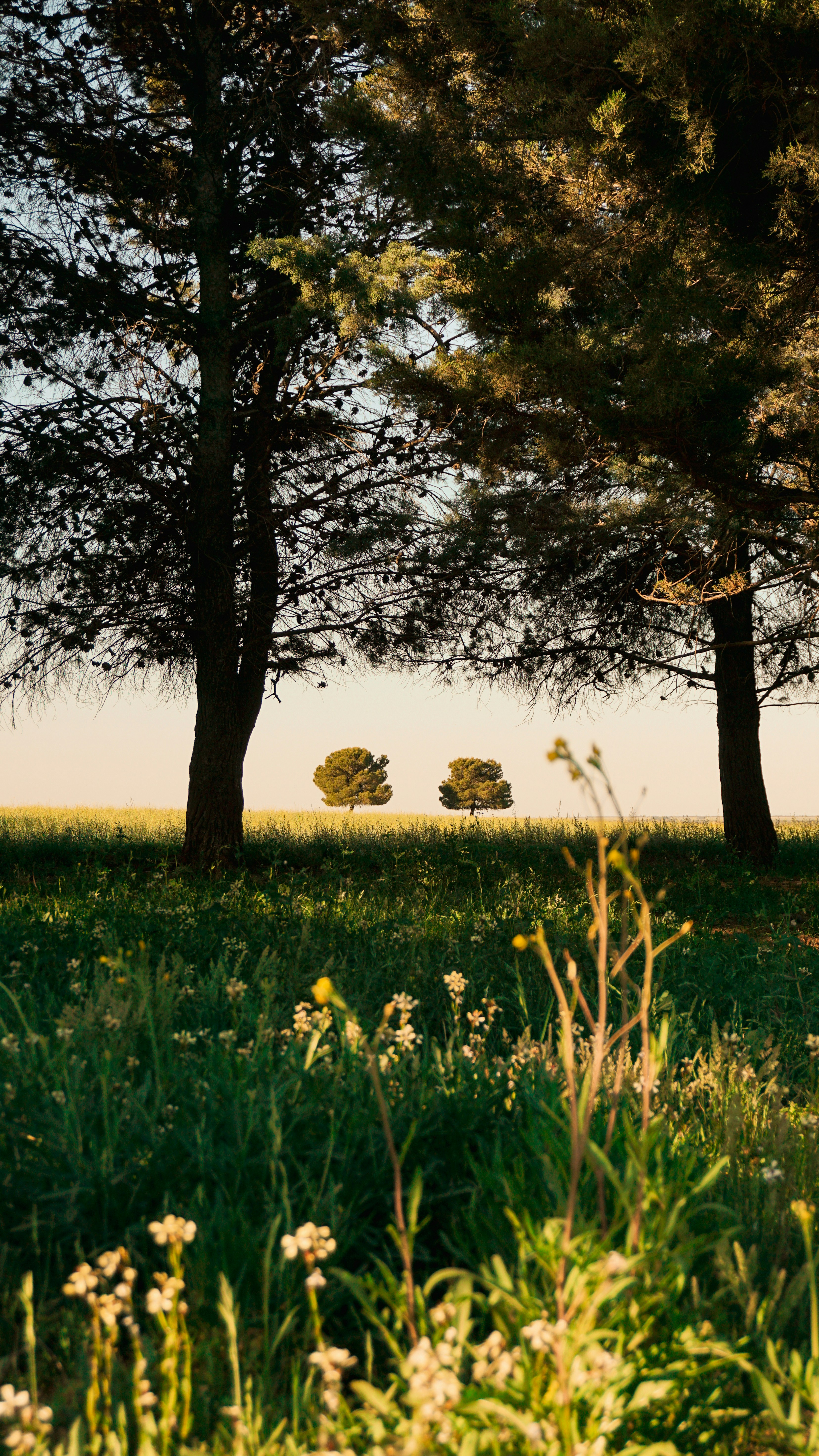 Photo by federicofaccipieri