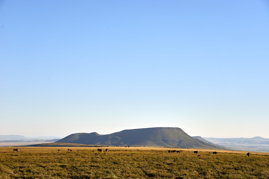 green grass field near mountain under blue sky during daytime