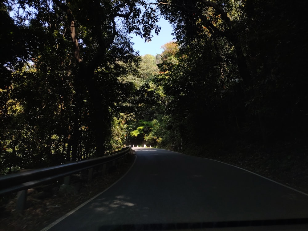 black asphalt road between green trees during daytime