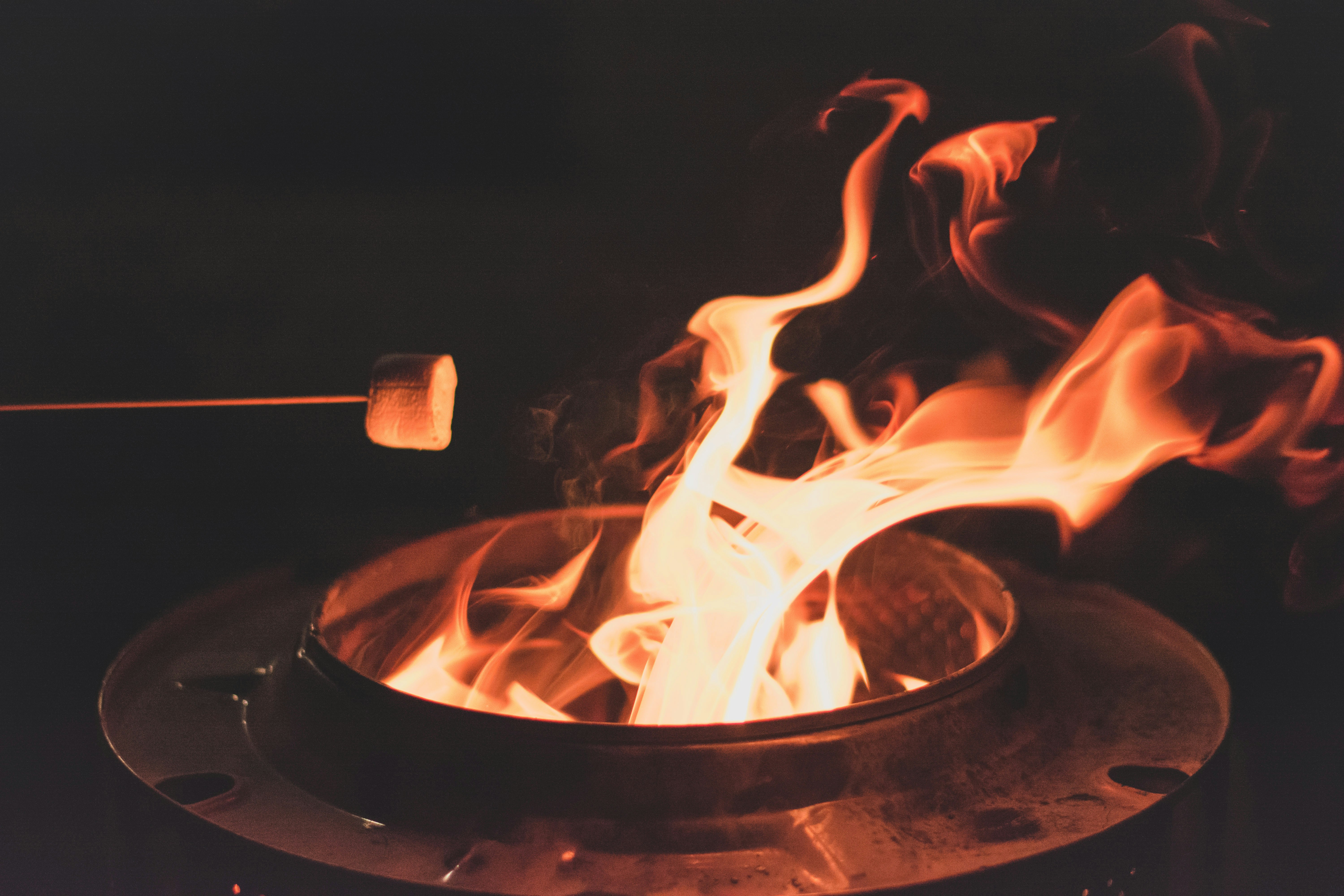 Photo by eliyahreygaerts