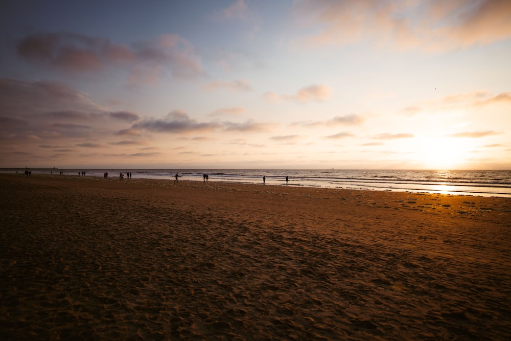 people on beach during daytime