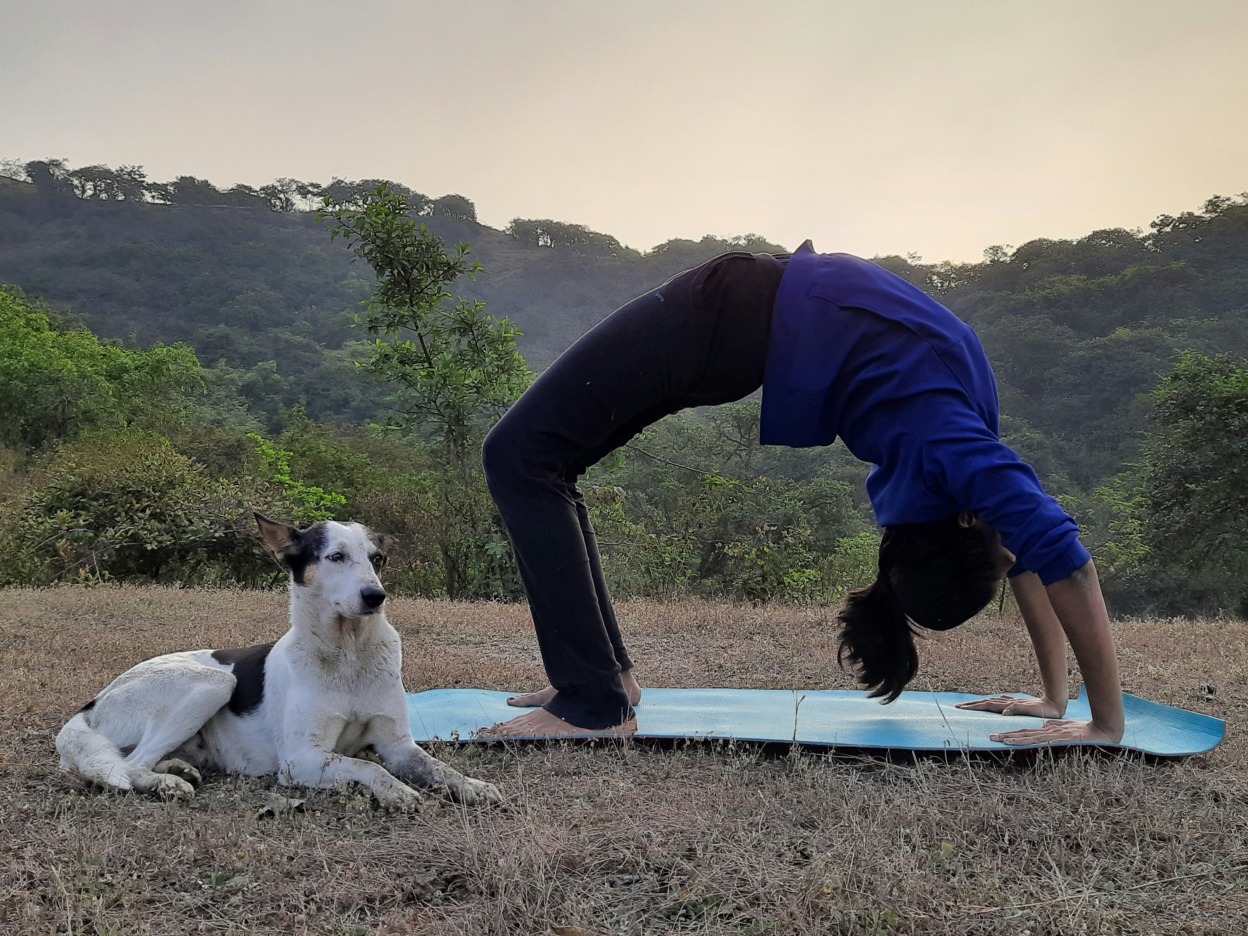 What is Doga? A Beginner’s Guide to Dog Yoga