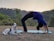 A happy woman stretching on a yoga mat surrounded by playful puppies in a sunlit studio.