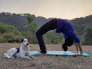 A person performs a yoga backbend on a blue mat outdoors, with a black and white dog sitting calmly nearby. The setting is a grassy area surrounded by lush green hills and trees under a calm sky.