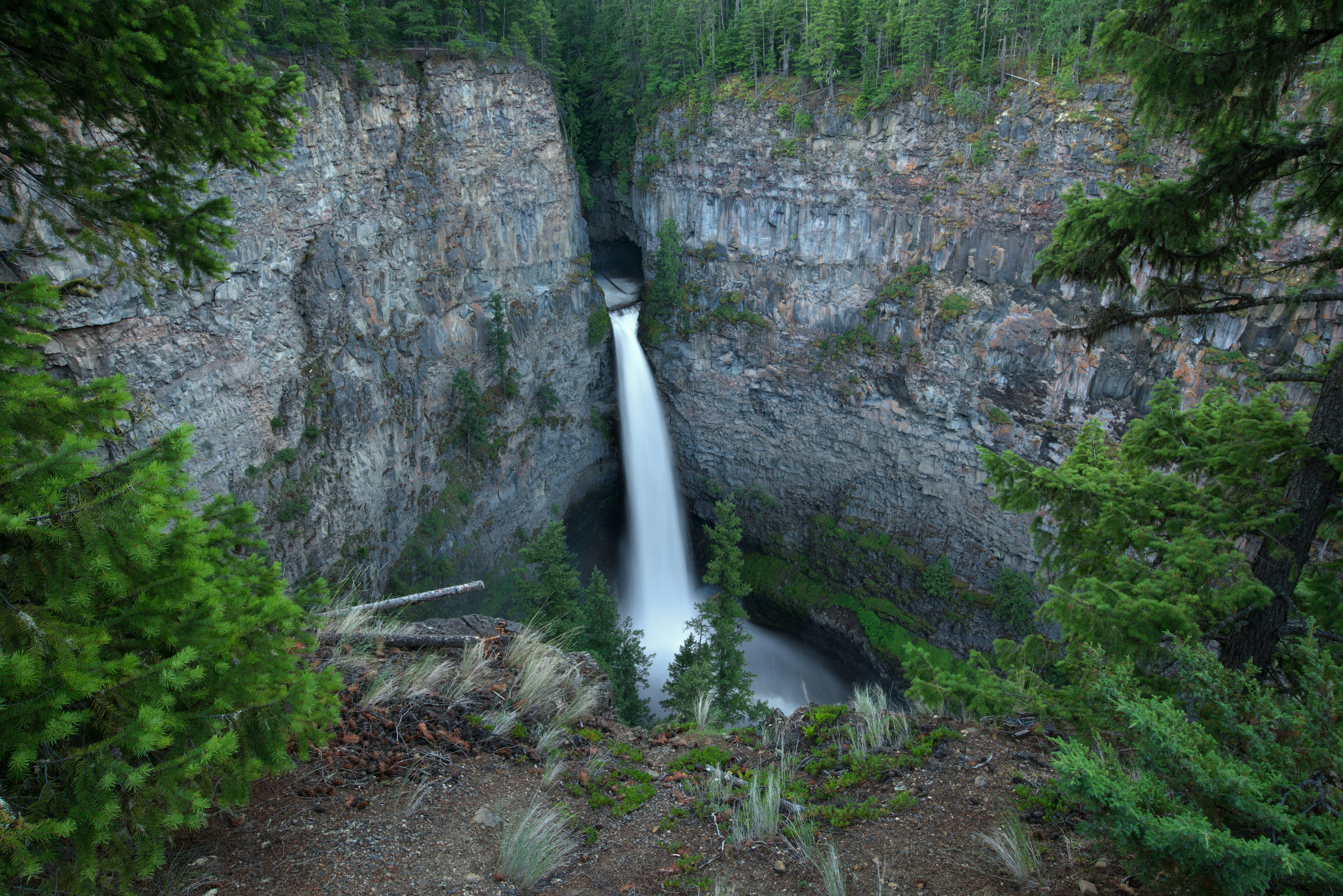 waterfalls in the middle of the forest