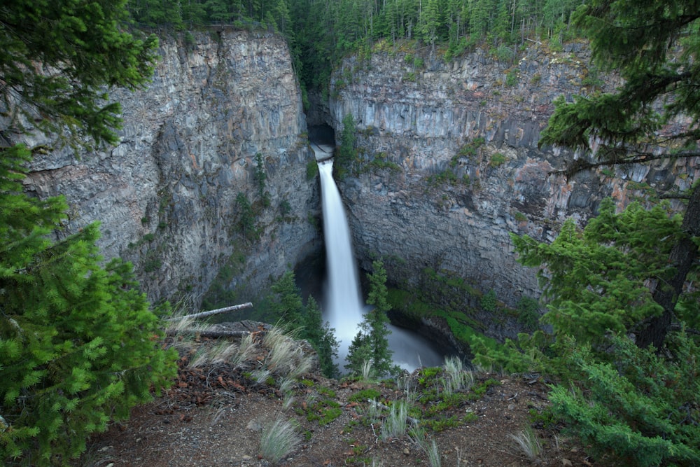 waterfalls in the middle of the forest