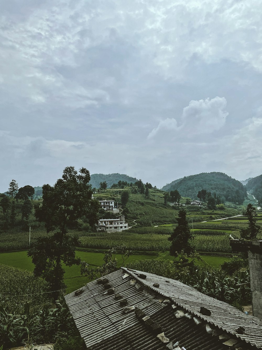 green grass field near green trees and mountains during daytime