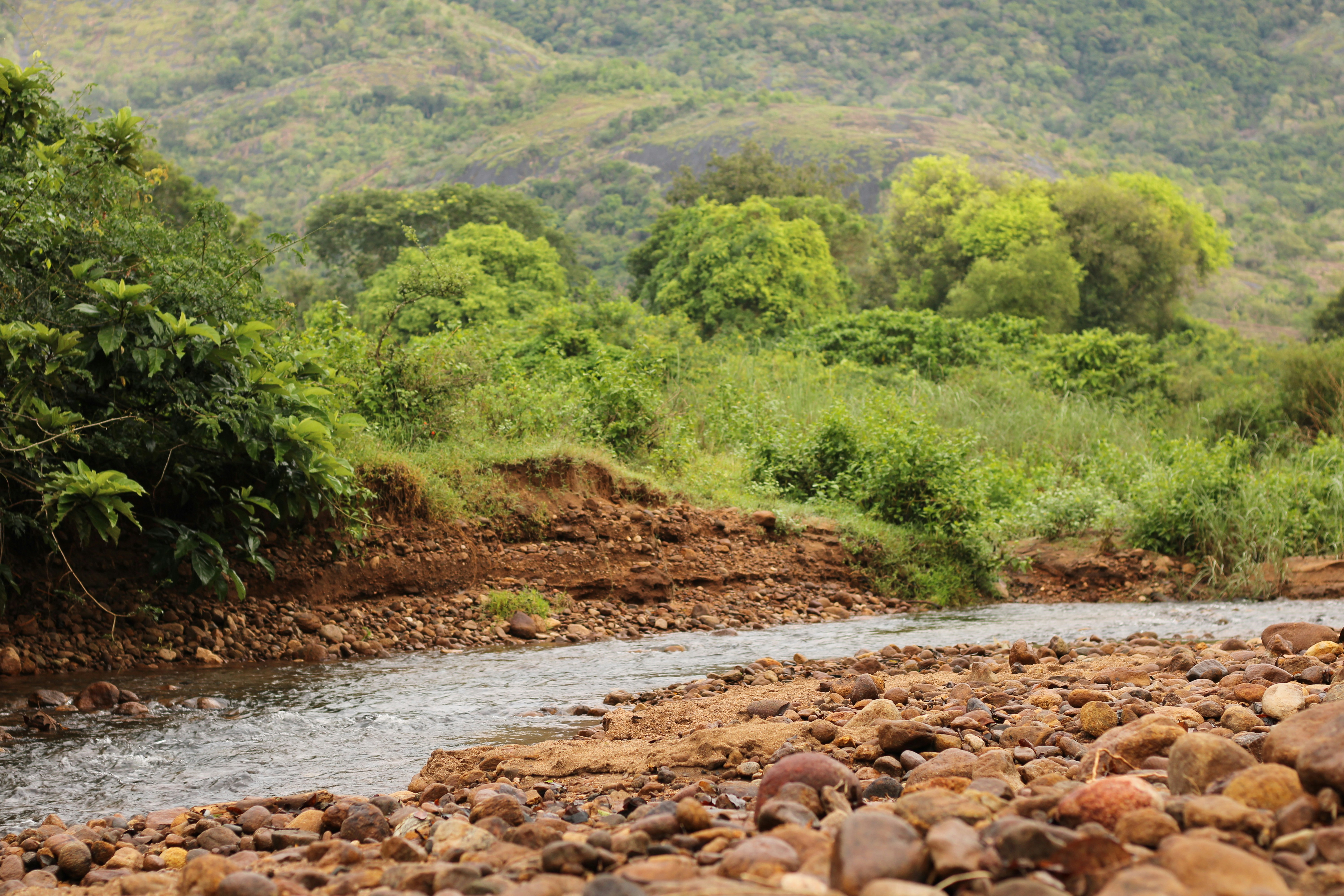 Gadgets Without Borders: Uncovering IoT's Role in Sustainable Living