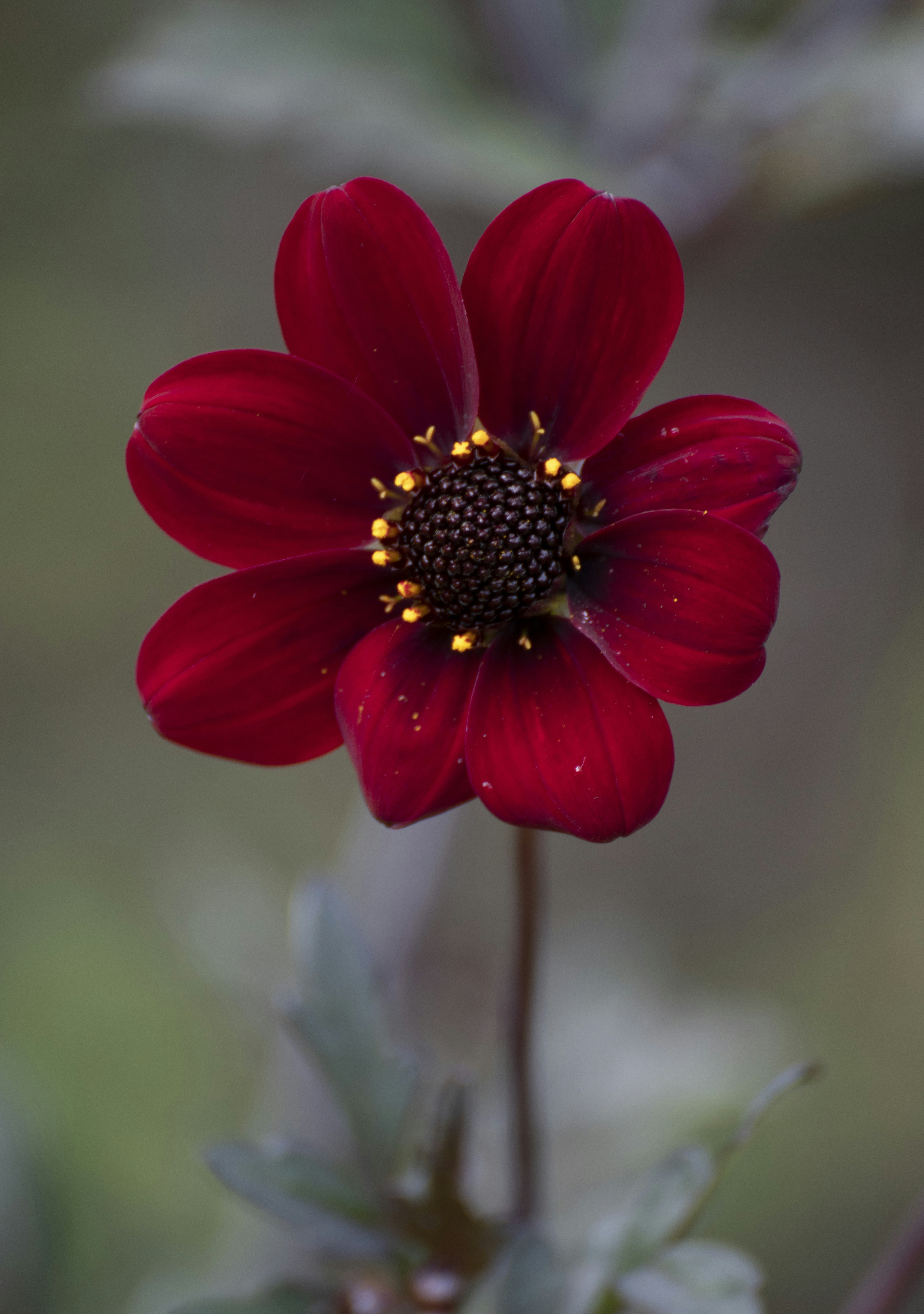 Photo by sommarvinden