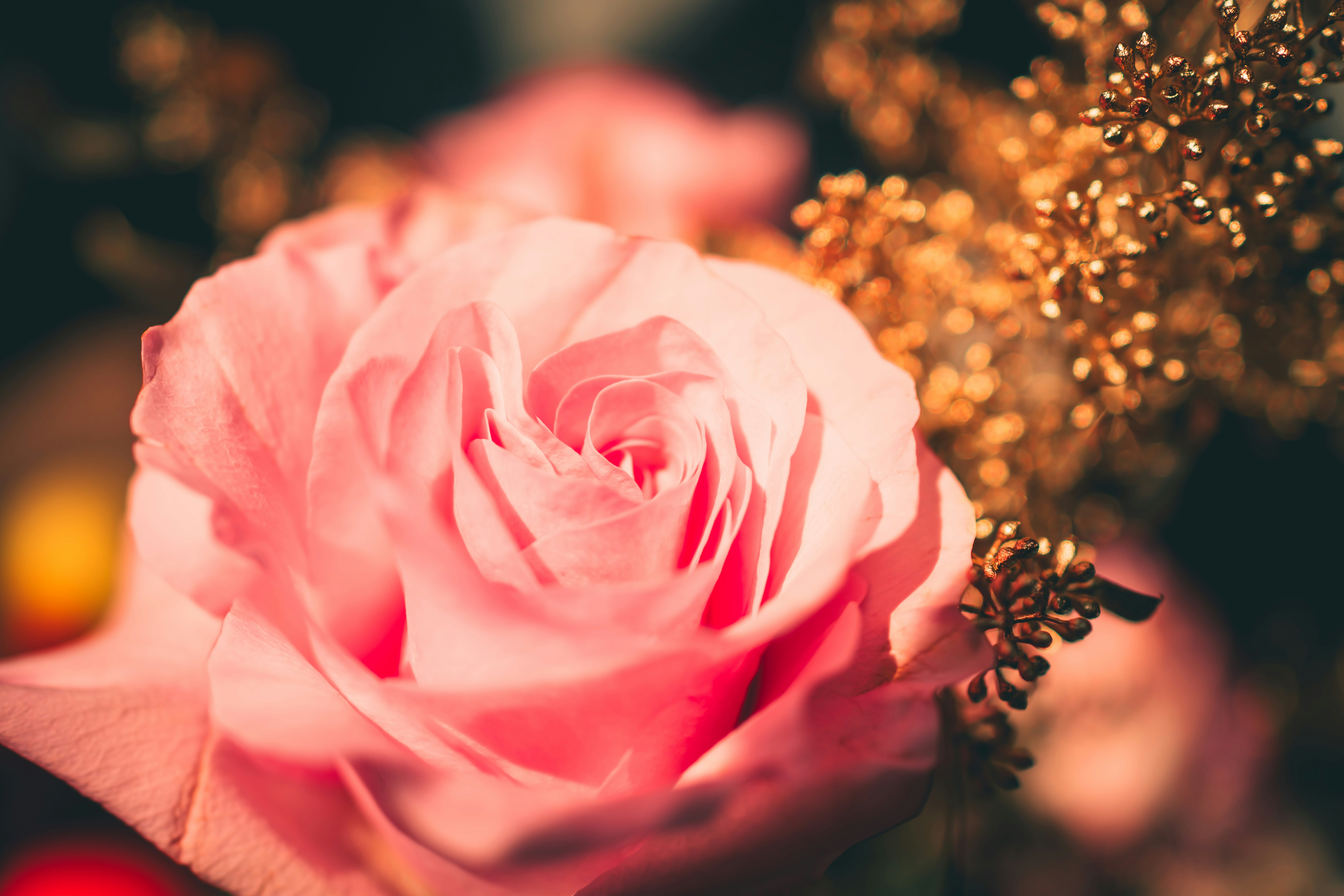 Photo by raimondklavins