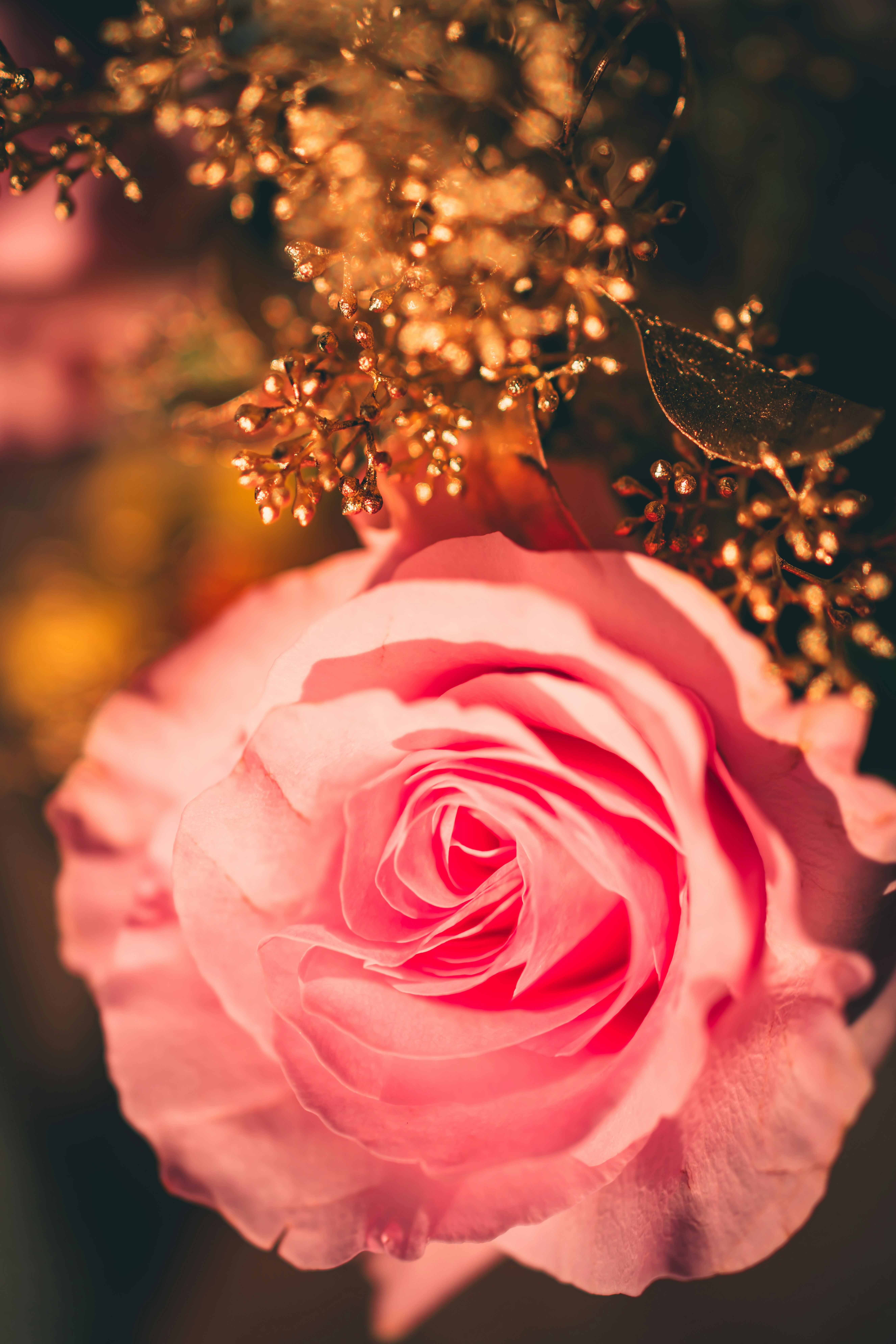 Photo by raimondklavins