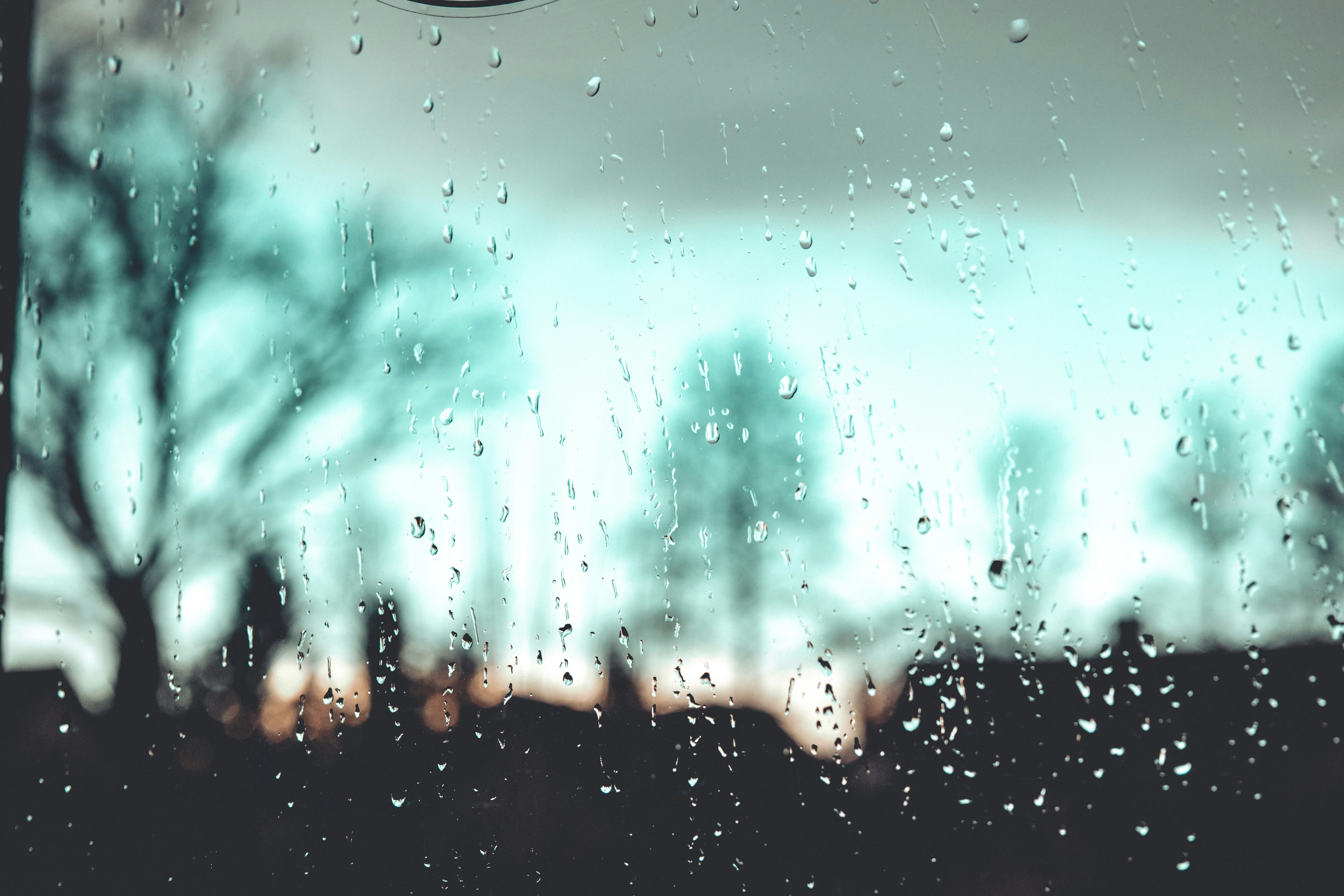 Photo by raimondklavins