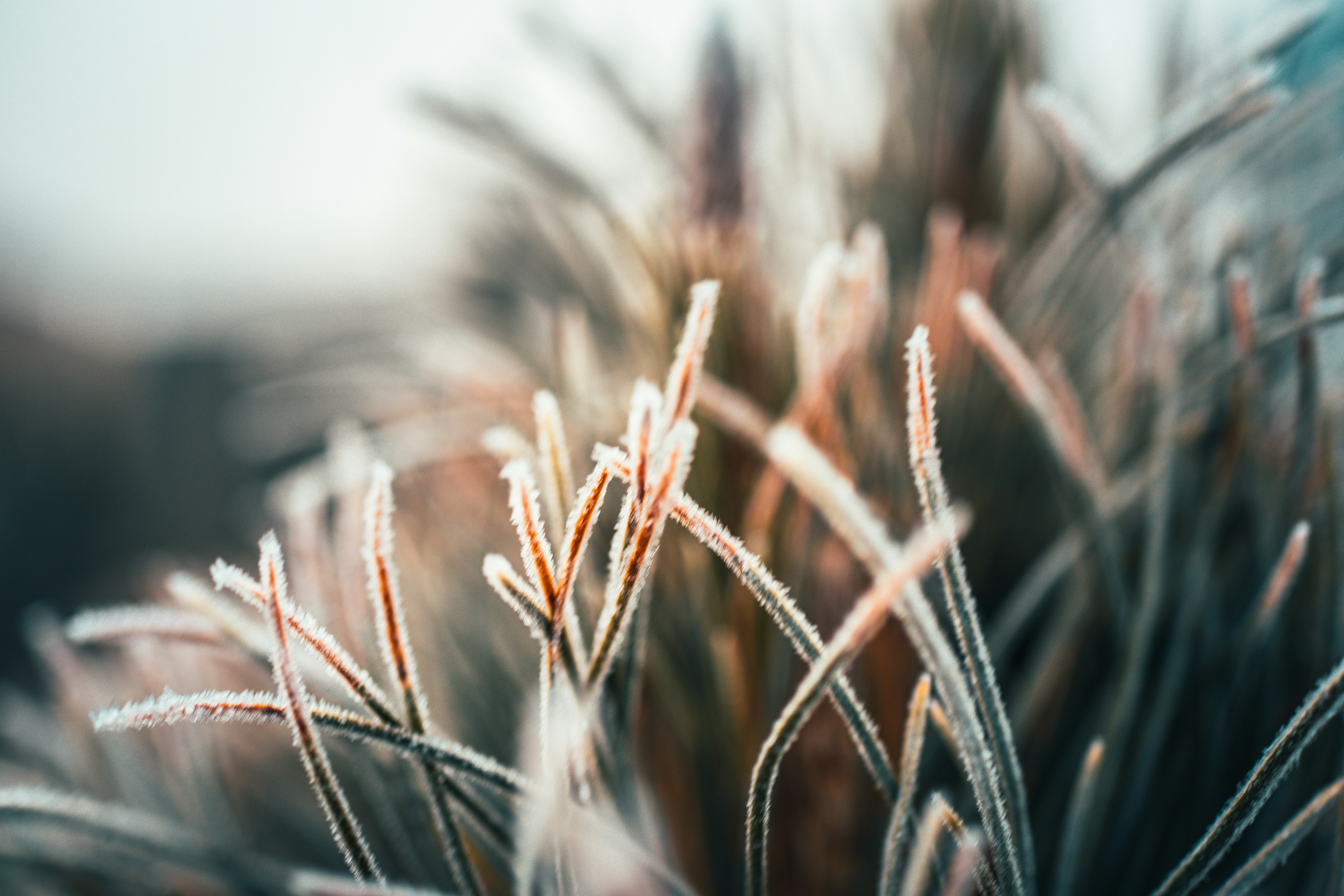 Photo by raimondklavins