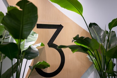 A large black number three is displayed on a wooden panel, surrounded by lush green tropical leaves. The setting appears to be modern and minimalistic, with a focus on natural elements.