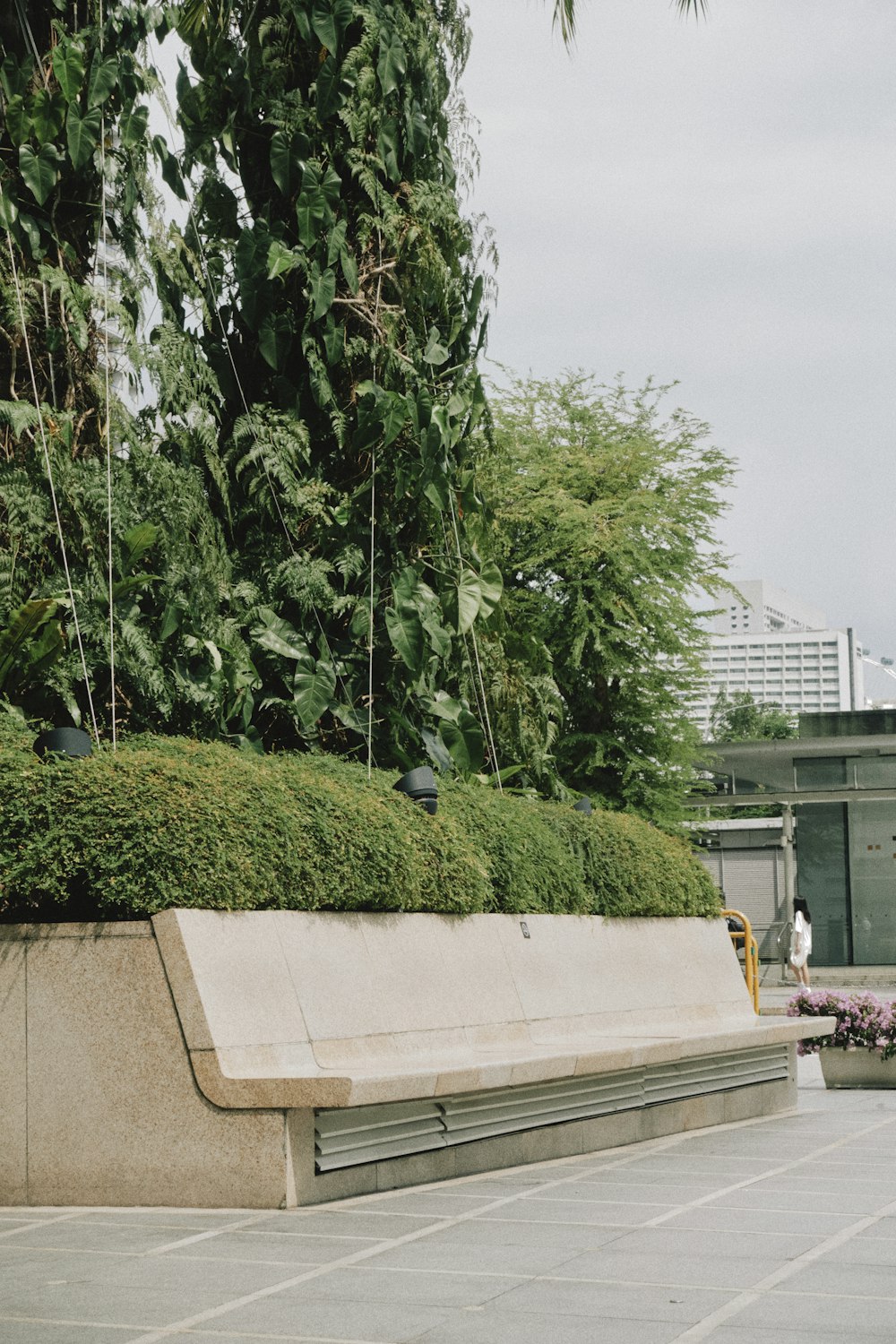 a concrete bench sitting next to a lush green tree