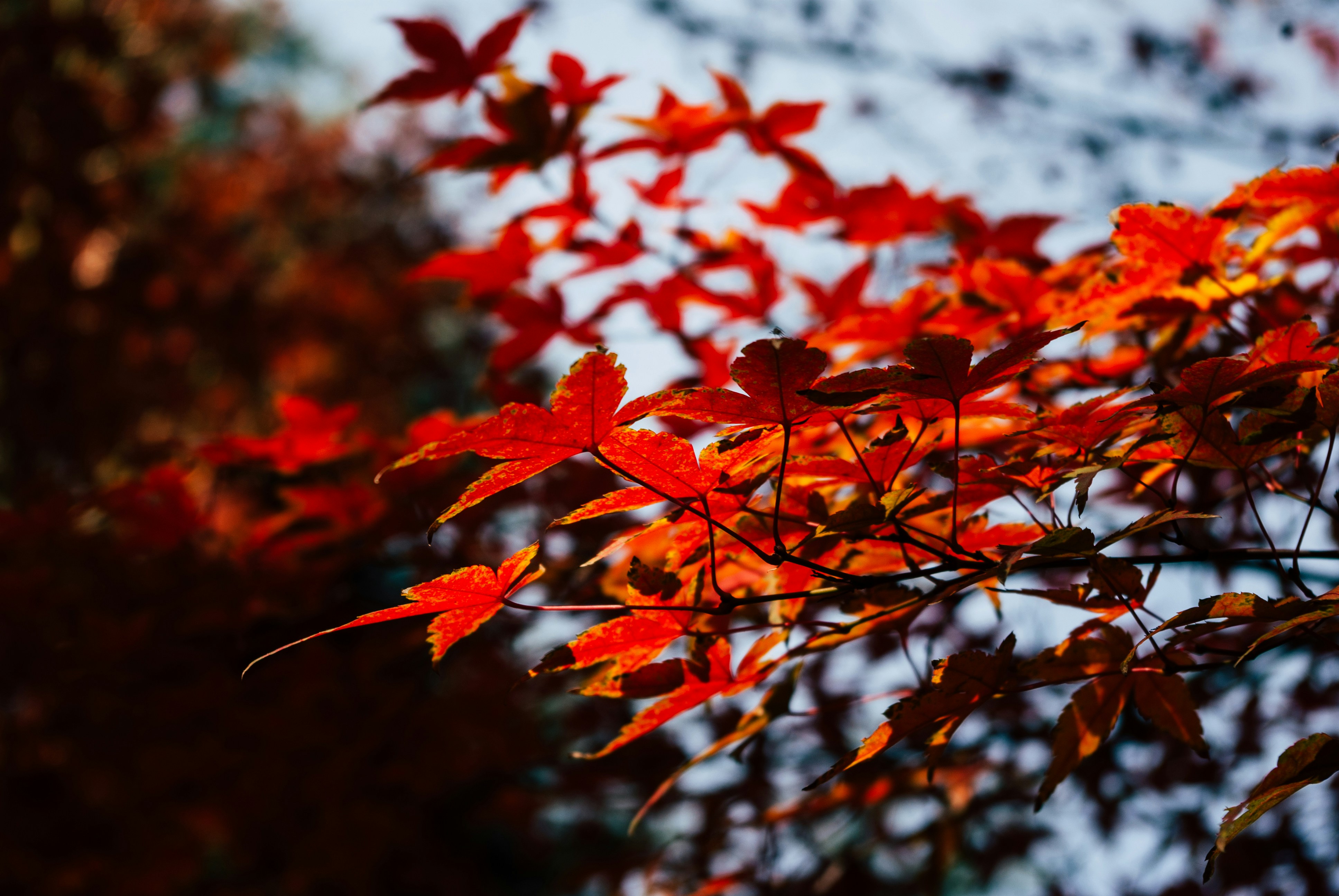 Photo by moonmoons_days