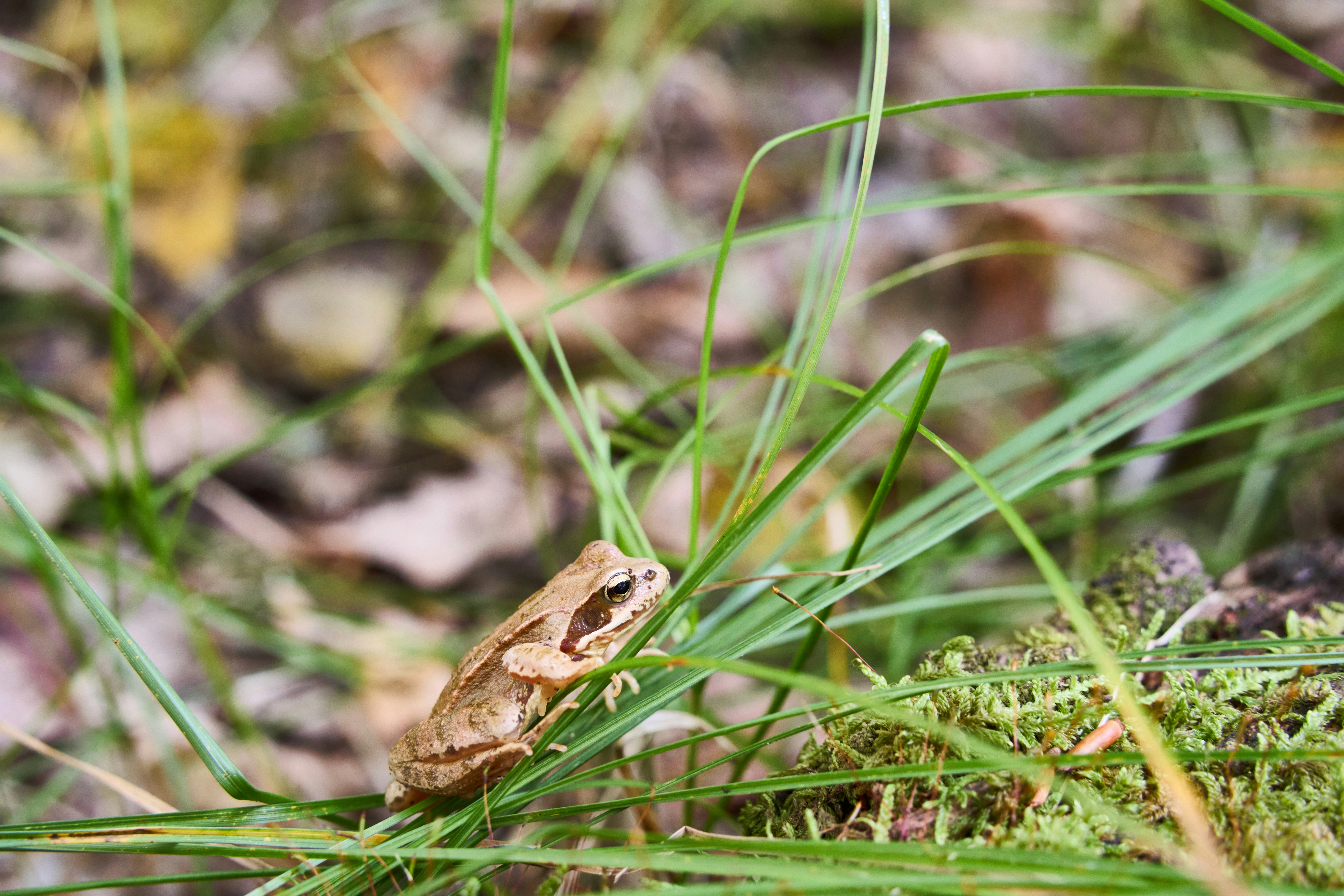 Photo by wolfgang_hasselmann