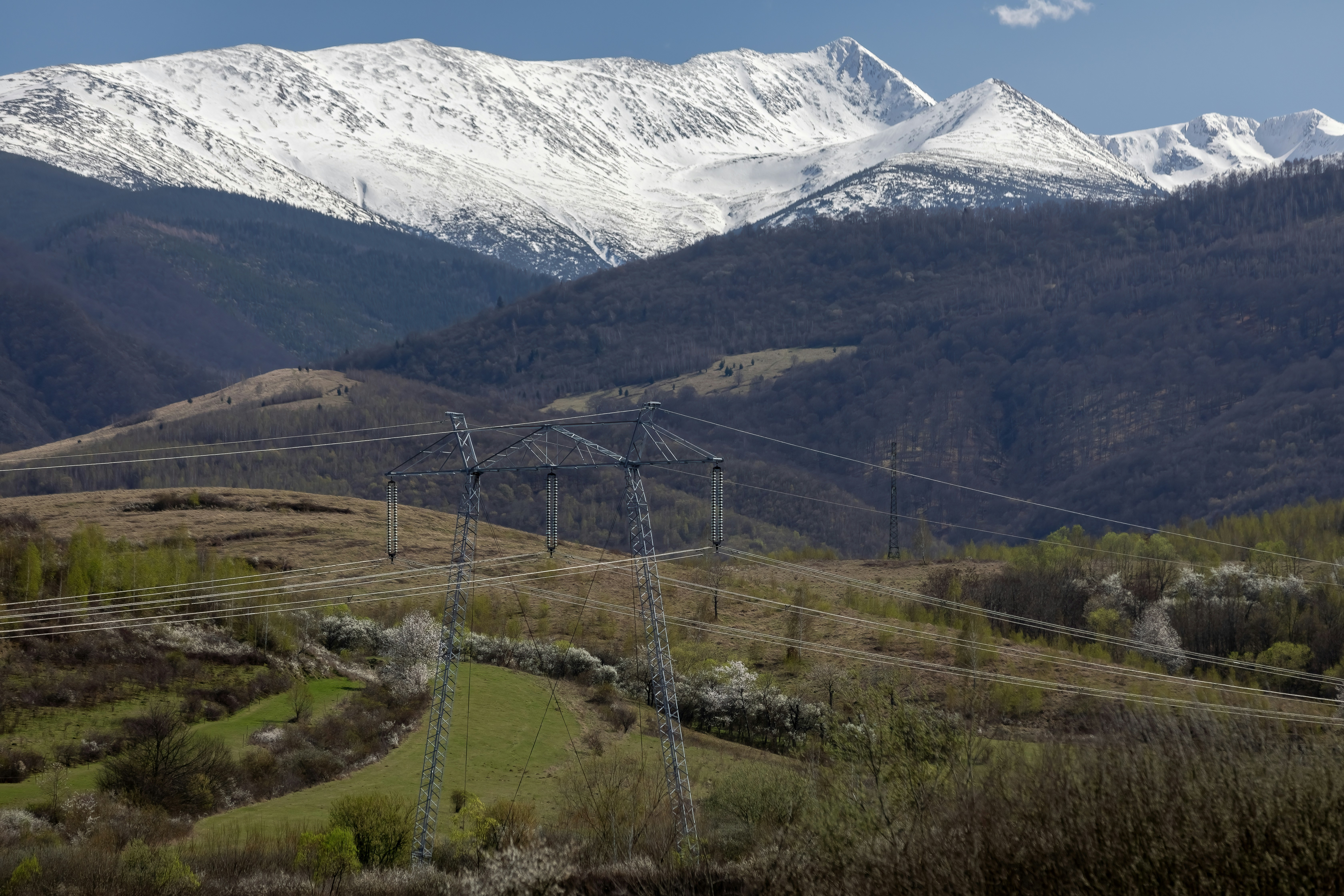 Photo by ovidiugruescu