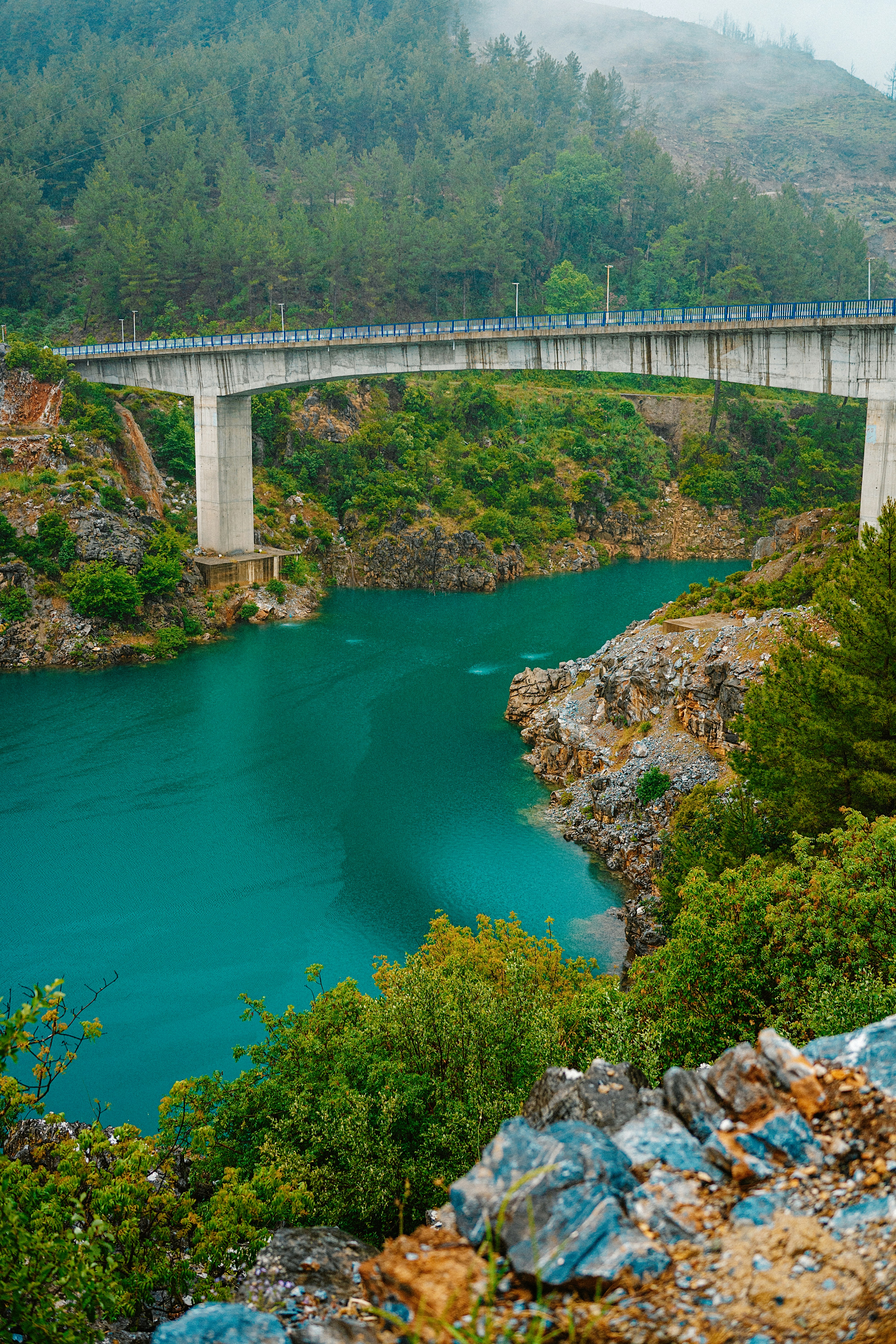 Photo by igorharrier