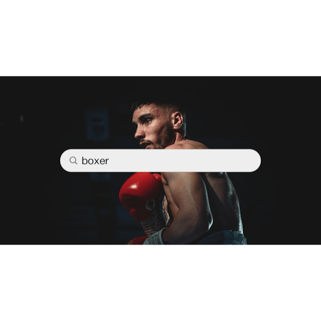 Shadow Boxing Pictures  Download Free Images on Unsplash