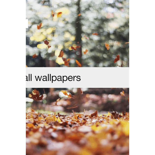 Duncan 4K wallpapers for your desktop or mobile screen free and easy to  download
