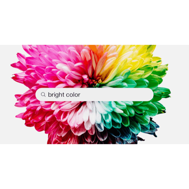 500+ Bright Color Pictures [HD]  Download Free Images on Unsplash