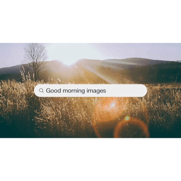 500+ Good Morning Pictures | Download High Definition Free Images on  Unsplash