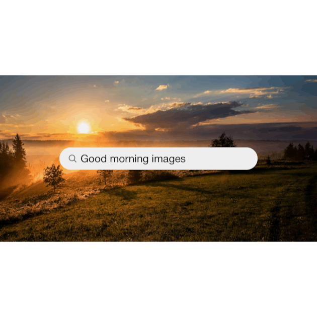 500+ Good Morning Pictures  Download High Definition Free Images