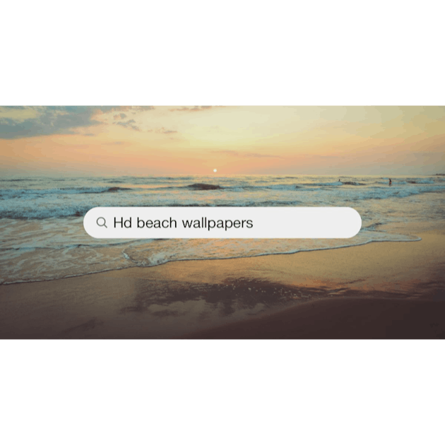 500+ Summer Beach Pictures  Download Free Images on Unsplash