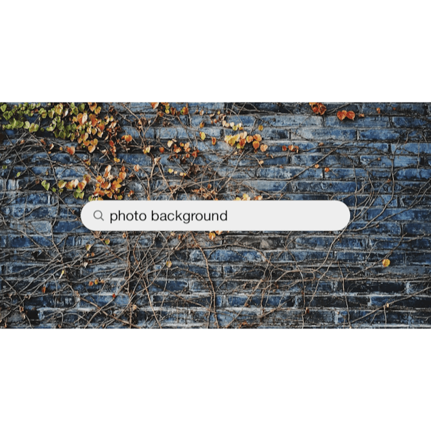 550+ Photo Background Pictures | Download Free Images on Unsplash
