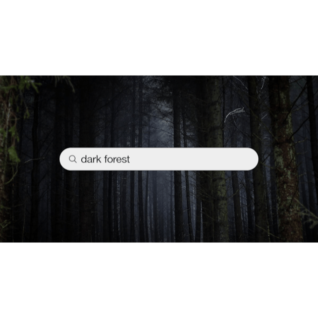 Dark Forest (Profile Background) 