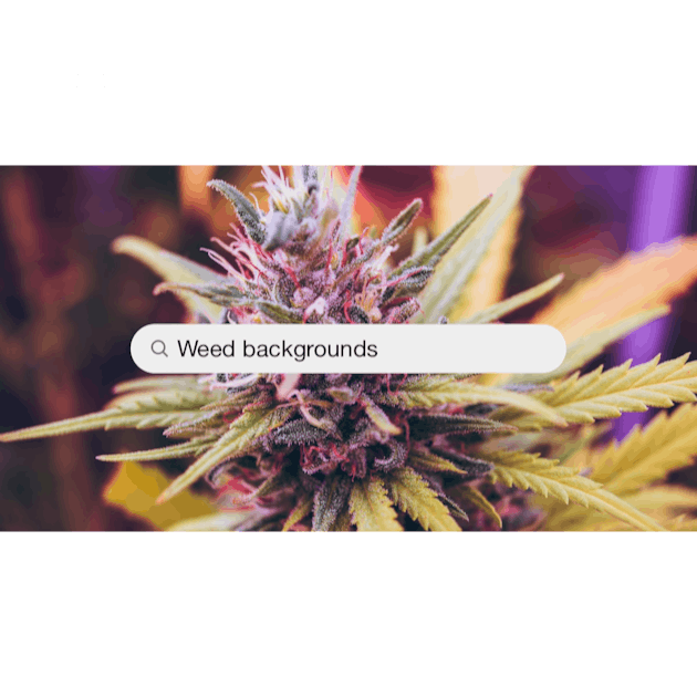 Weed Photos, Download The BEST Free Weed Stock Photos & HD Images