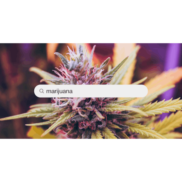 45,628+ Marihuana Pictures  Download Free Images on Unsplash