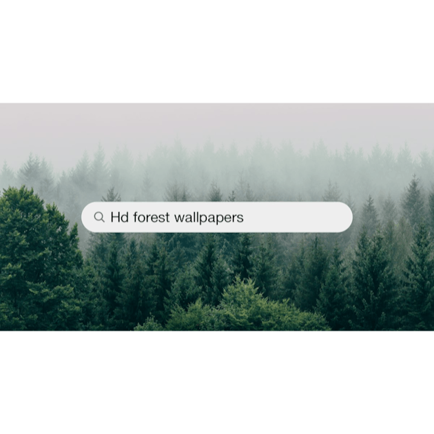 Forest Wallpapers: Free HD Download [500+ HQ]