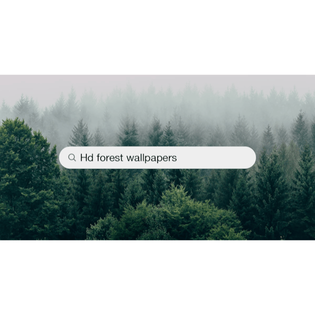 Hình nền rừng: Tải xuống miễn phí HD [500+ HQ] | Unsplash sẽ đem lại cho bạn những ảnh nền tuyệt đẹp, sống động về cảnh quan thiên nhiên. Tận hưởng một hiệu ứng tuyệt vời và cảm giác thoải mái khi xem những hình ảnh đẹp liên quan đến từ khóa này. Hãy khám phá và tải về ngay bây giờ để đem tới cho bạn bộ sưu tập hình nền tuyệt vời của mình.